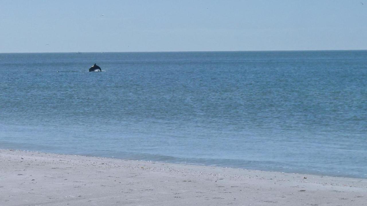 Sunset Beach House 3Br Villa St. Pete Beach Exteriör bild